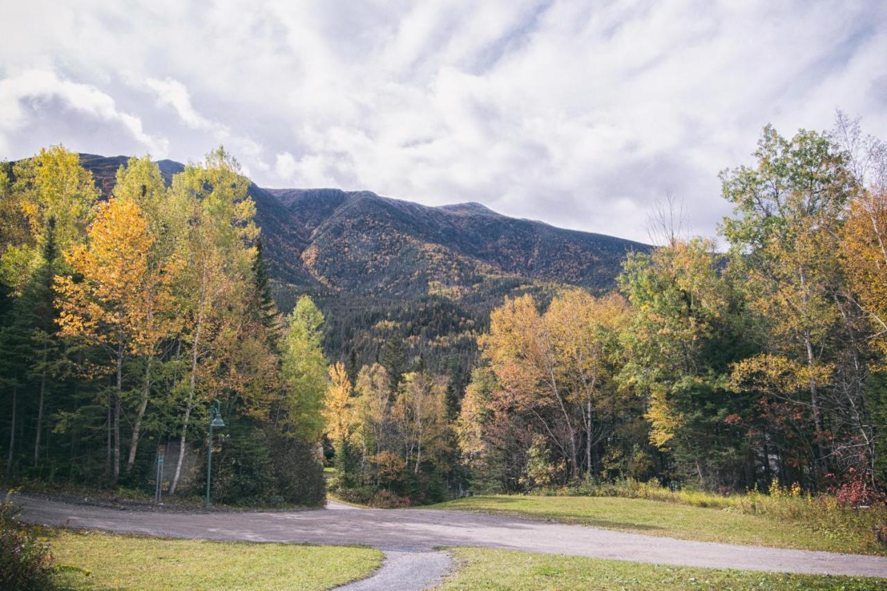 Gite Du Mont-Albert - Sepaq Sainte Anne-des-Chênes Exteriör bild